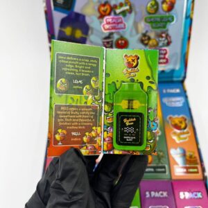 Alternative view of Buddha Bear 2g