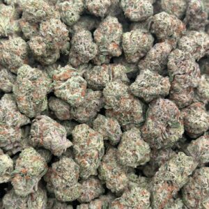 Alternative view of Biscotti